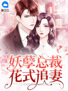 妖孽总裁花式追妻